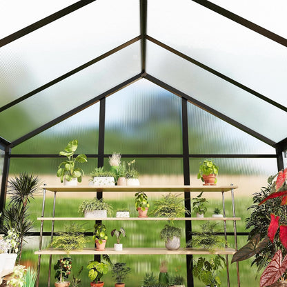 6X10 FT Greenhouse for Outdoors, Polycarbonate Greenhouse with Roof Vent, Ground Nails, Lockable Push Door, Aluminum Large Walk-In Green House for outside Garden Backyard, Patio, Lawn, Black — product view 8